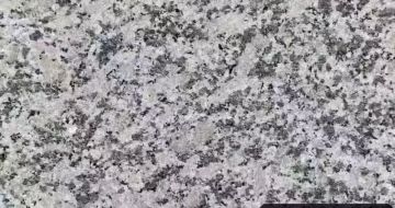 朝阳 芙蓉白（芝麻白大花）火烧面