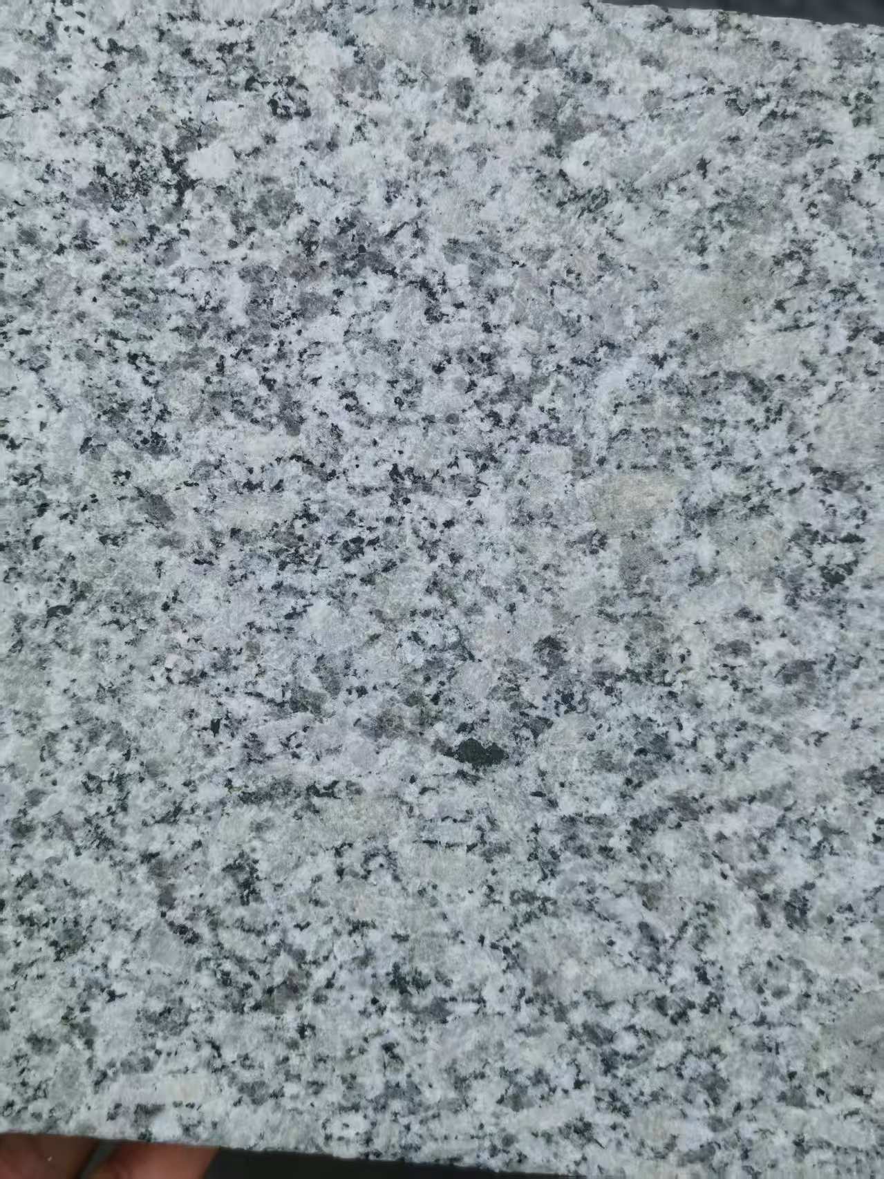 朝阳 芙蓉白火烧面
