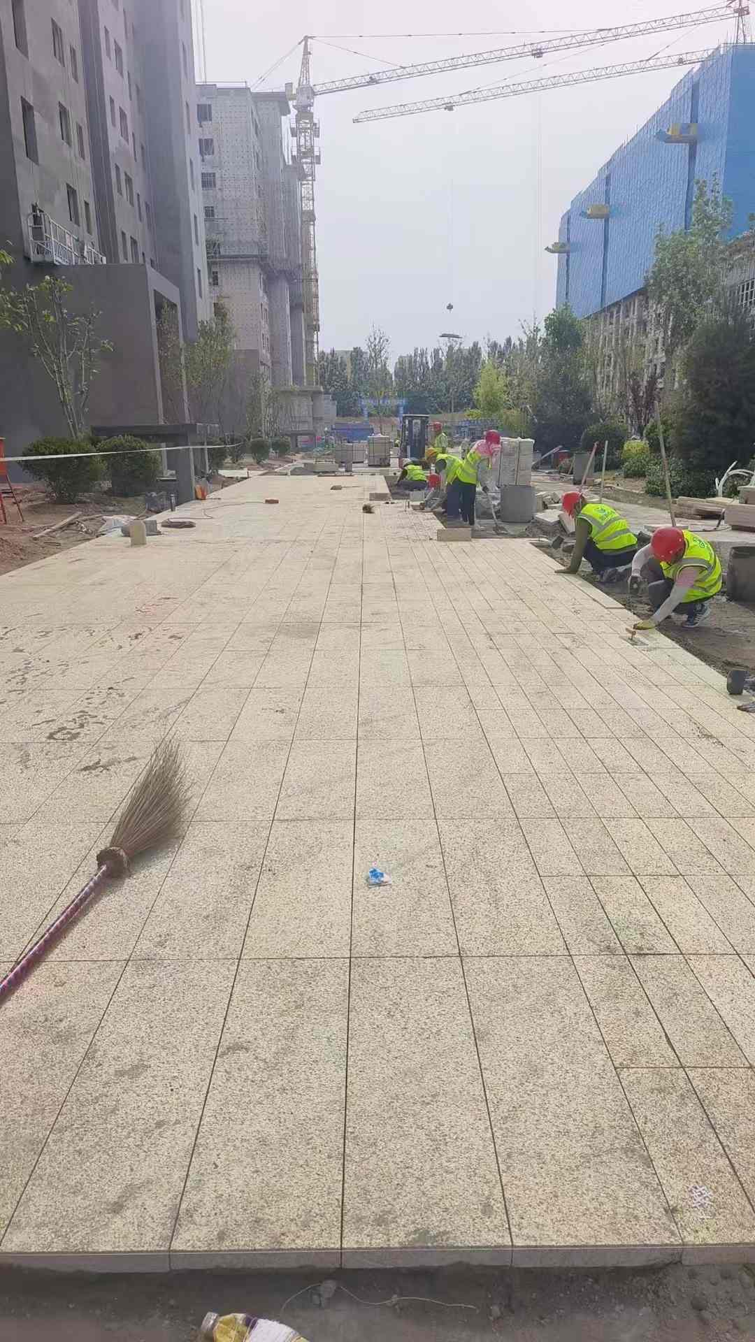 朝阳黄金麻荔枝面地铺案例