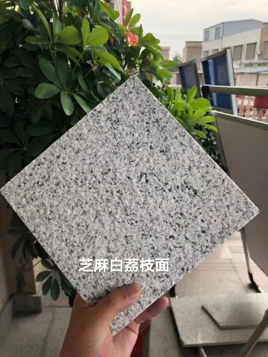 朝阳 芝麻白荔枝面干挂