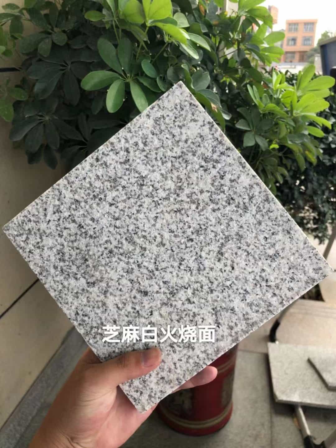 朝阳芝麻白火烧面地铺