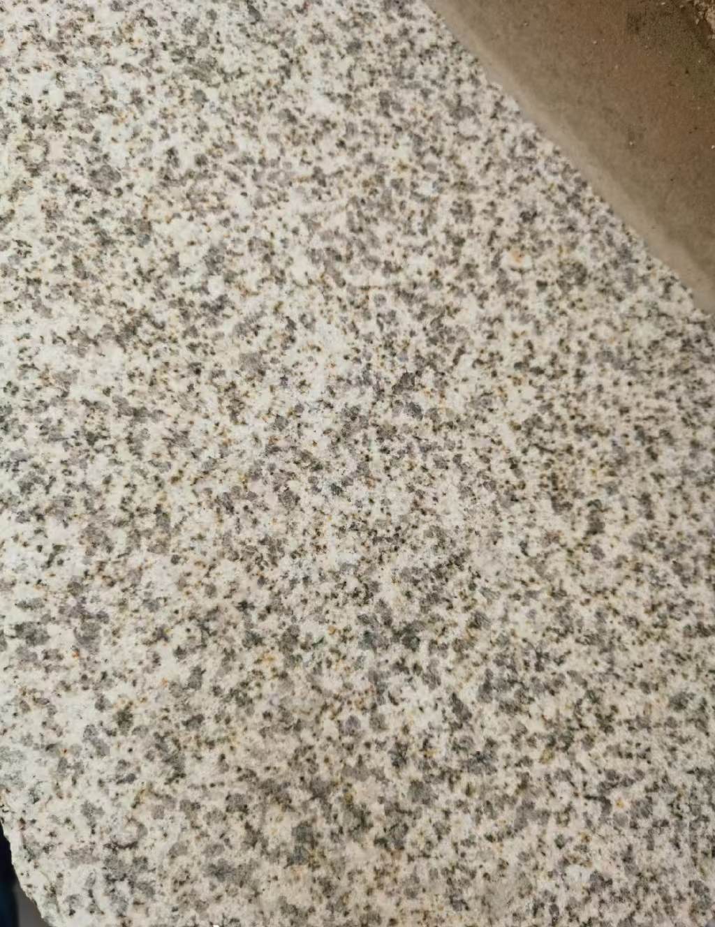 朝阳 黄金麻中黄光面